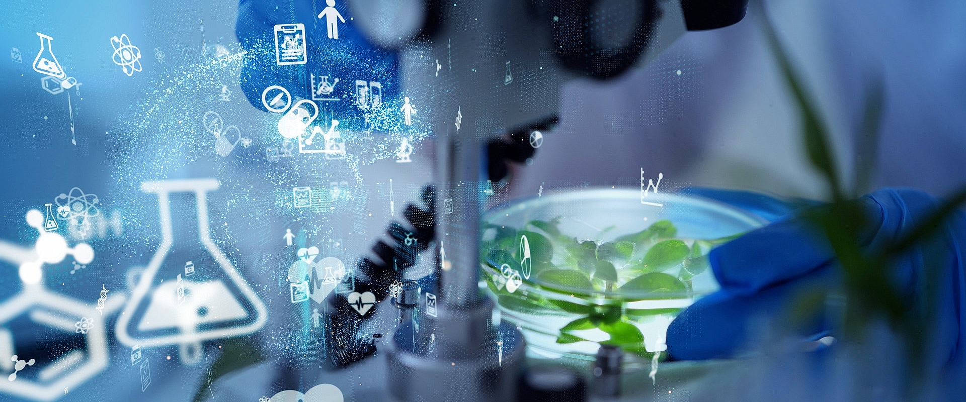 Studiengang Angewandte Biologie - Food and Pharma Studiengang Angewandte Biologie - Food and Pharma