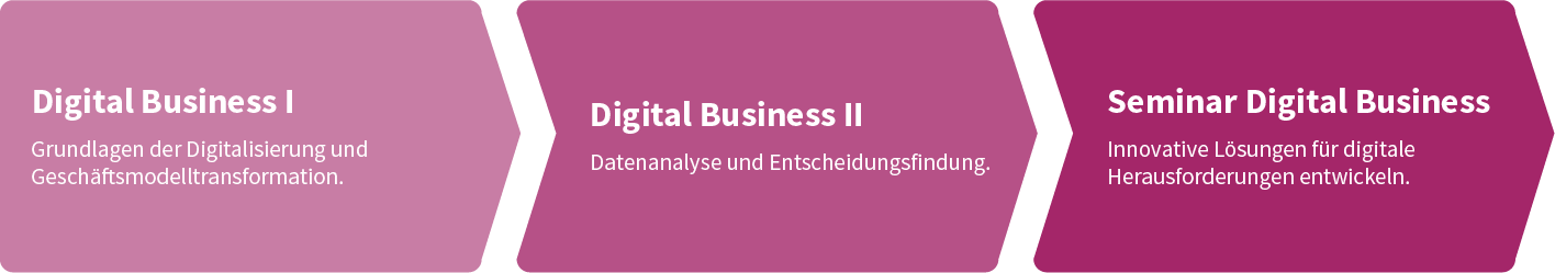 Folgedarstellung mit den Inhalten: Digital Business I: Grundlagen der Digitalisierung und Geschäftsmodelltransformation. Digital Business II: Datenanalyse und Entscheidungsfindung. Seminar Digital Business: Innovative Lösungen für digitale Herausforderungen entwickeln.